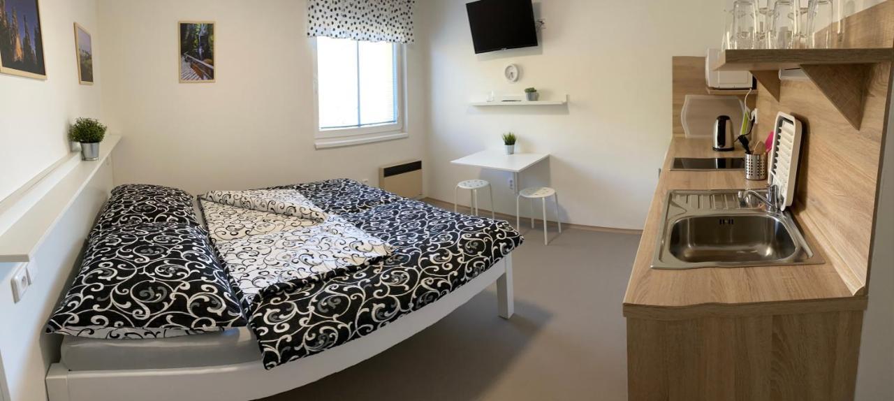 Apartmany Nad Parkem ブロウモフ エクステリア 写真